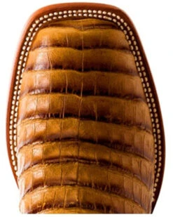 Horse Power Men's Toasted Caiman Print Western Boots - Square Toe -Corral Sales 2025 2000285899 280 P5