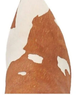 Dingo Women's Mane Tamer Fashion Booties - Pointed Toe -Corral Sales 2025 2000344410 280 P6